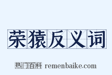 荣猿反义词是什么意思的图片